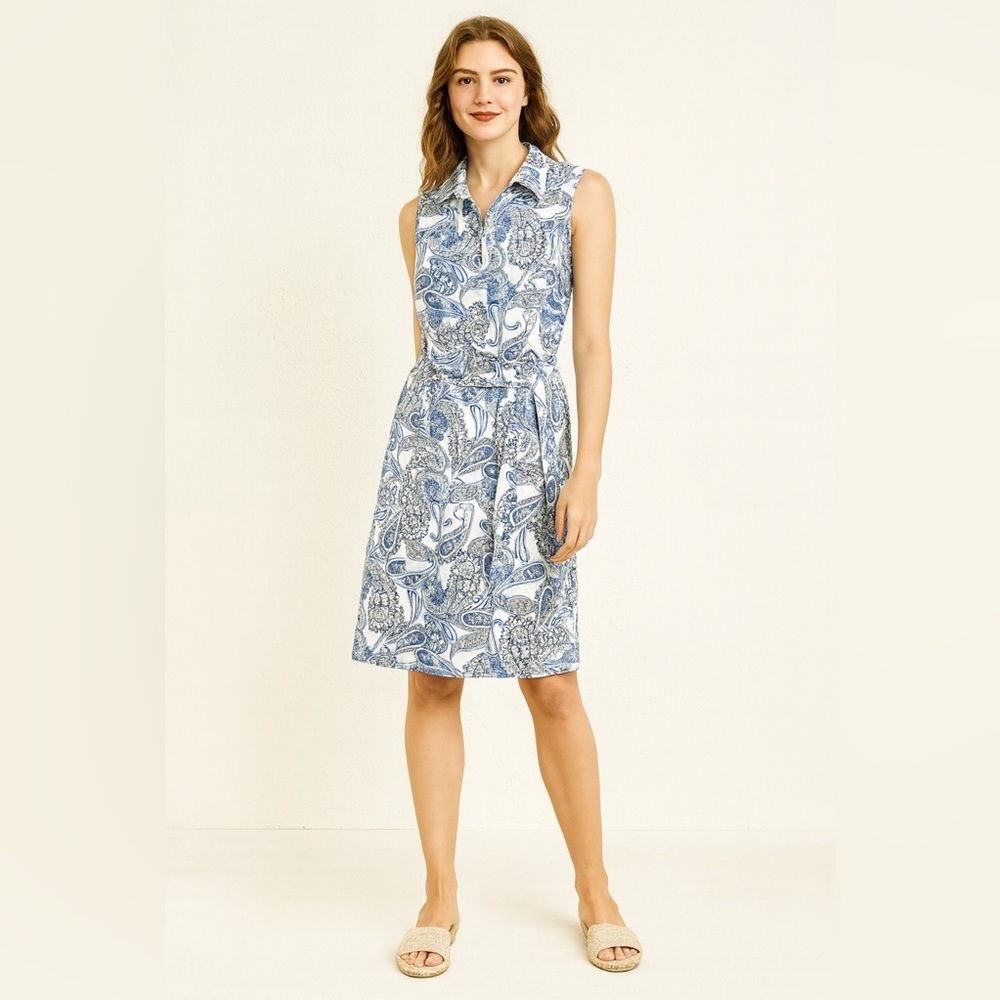 Banana Republic Blue and White Paisley Dress.  Size-8